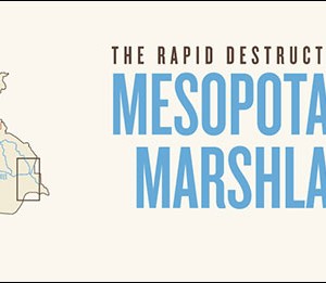 The Rapid Destruction of the Mesopotamian Marshlands